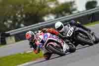 Advanced Group Multicolour Bikes